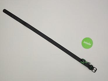 used item: Pasek, Damskie, stan - Bardzo dobry — 2