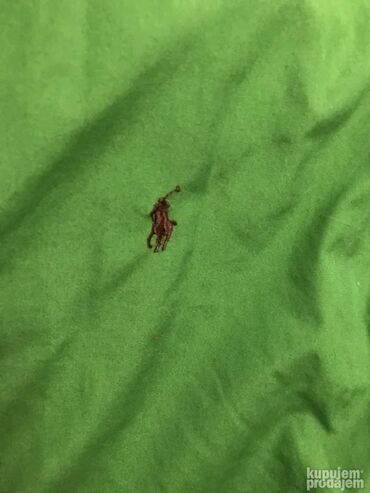 Košulje: Košulja Na duge rukave, L, M, XL, Ralph Lauren, bоја - Zelena, Pamuk — 3