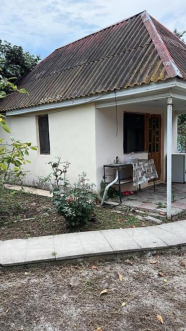 Bağ evlərinin kirayəsi: Katedj nabranda — 5