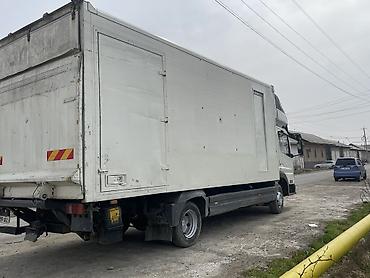 Mercedes-Benz: Mercedes-Benz : 1998 г., 4.3 л, Механика, Дизель — 6