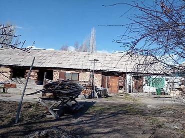 Продажа коттеджей и домов: ПРОДАЁТСЯ ДОМ С УЧАСТКОМ 1 ГЕКТАР В СЕЛЕ Григорьевка (район пристани) — 14