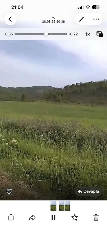 quba rayonu: Quba seherinin deveci rayonu Zeyve kendi Devecinin alt yaninda 1hektar — 4