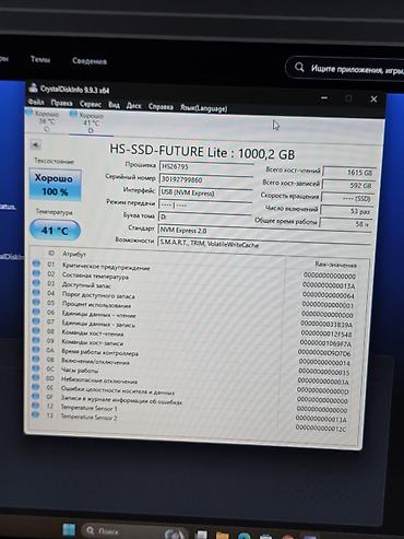 58: NVMe SSD HIKSEMI FUTURE Lite 1024 GB (PCIe 4.0 x4, M.2 2280) - Серия — 3