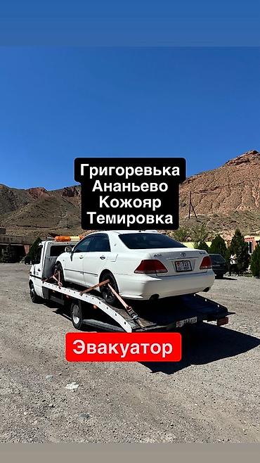 авто электирк: Көтөргүсү менен, Манипулятору менен, Кыймылдуу платформасы менен — 1