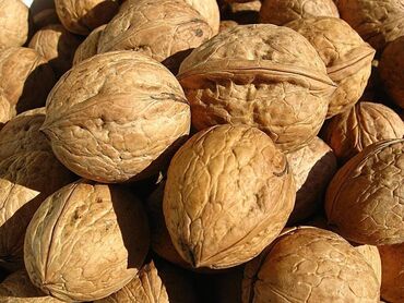 Сухофрукты, орехи, снеки: (Кара-Балта) Грецкий орех, 25кг в наличии. Звоните по телефону