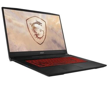 компьютеры в бишкеке цены бу: Ноутбук, MSI, 8 ГБ ОЗУ, Intel Core i5, 17.3 ", Б/у, Для несложных задач, память SSD