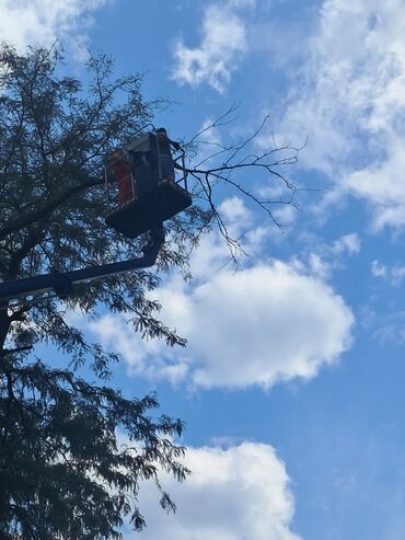 Građevinarstvo i rekonstrukcija: U ponudi su profesionalne hortikulturne usluge koje uključuju košenje — 6