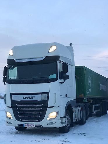 Тягачи: Тягач, DAF, 2019 г. — 13