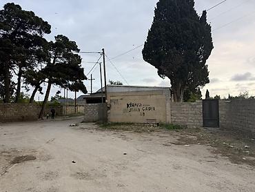 Torpaq: 17 sot, Tikinti, Kupça (Çıxarış) — 2