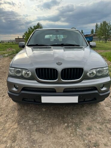 авто телега: BMW X5: 2006 г., 3 л, Типтроник, Дизель, Кроссовер