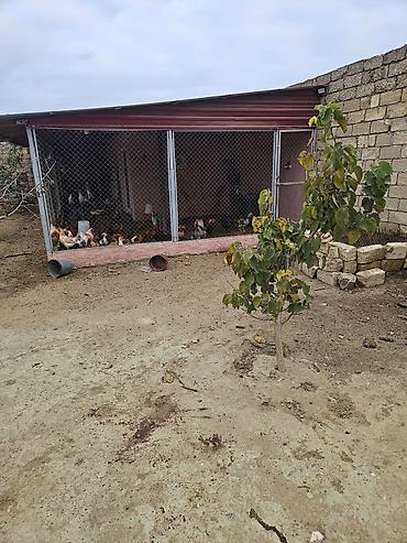 Həyət evləri və villaların satışı: 4 otaqlı, 85 kv. m — 11