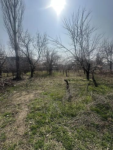 Продажа коттеджей и домов: 📍В центре Сокулука продаётся дом на участке 17,5 соток. 🏡Дом состоит — 3