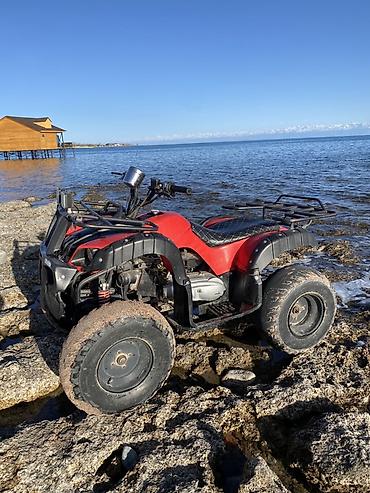 Квадроциклы: Квадроцикл Подходит для: - Прогулок по бездорожью, рыбалки, охоты - — 9