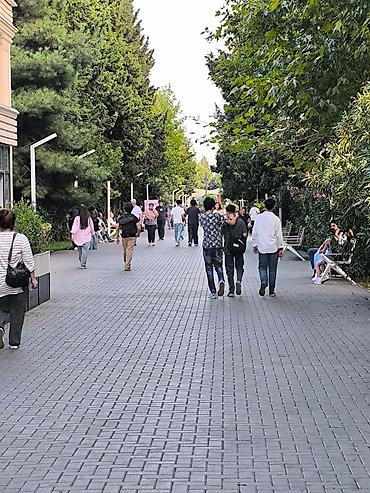 Uzunmüddətli kirayə mənzillər: Salam, Kirayyə Təzə Tikili Gənclik Metrosuna + Atatürk Parkına Çox — 1