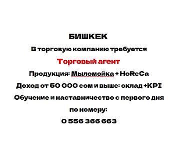 Вакансиялар: Талап кылынат Соода агенти, Иш тартиби: Беш күндүк, 1-2-жылдык тажрыйба, Карьера жактан көтөрүлүү, Толук жумуш күнү — 1