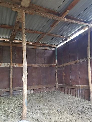 Продажа домов: Дом, 52 м², 5 комнат, Собственник, Старый ремонт — 9