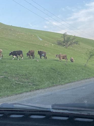 Продажа участков: 15 соток — 3