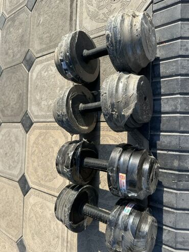Гантели: Представляем наборные гантели — универсальный инструмент для домашних — 4