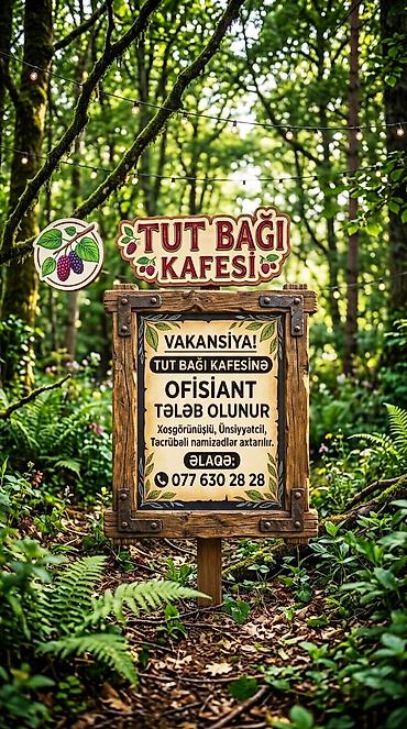 aspaz vakansiyalar: Ofisiant tələb olunur, Kafe — 1