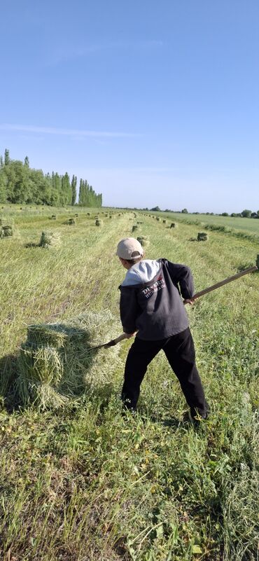 ищу дом на долгий срок: 7000 соток Бизнес үчүн