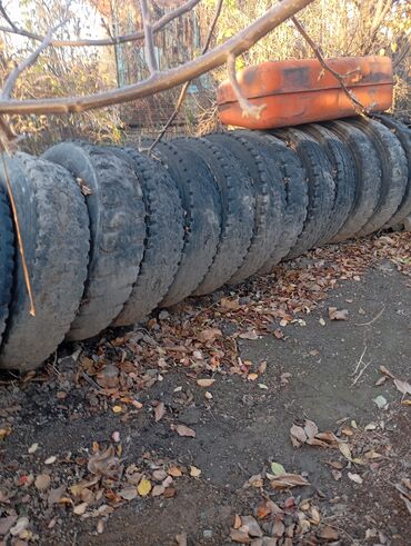 купить шины в бишкеке бу: Шины R 22,5, Грузовики/Автобусы