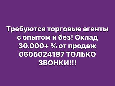 бетономешалка продажа: Требуется Торговый агент, График: Гибкий график, Без опыта, Карьерный рост, Неполный рабочий день — 1