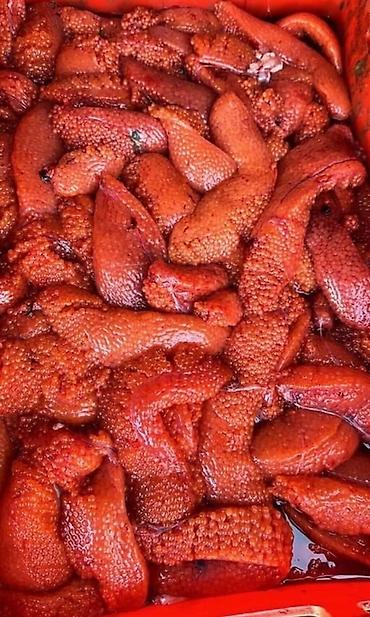 Икра другой рыбы: Куплю икру форели в любых обьемах — 2
