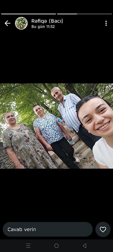 Pişiklər: Şotland — 18