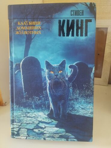 книга для чтения 4 класс озмитель власова: Книга "кладбище домашних животных"(клатбище домашних жывотных)