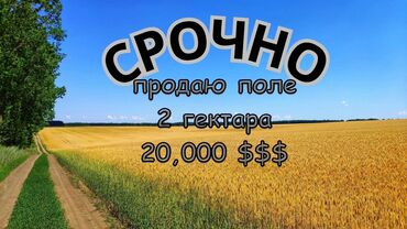 меняю на скот: 📍 Продаётся участок — 2 га, с. Чон-Далы (7 км от Новопокровки). 🚜