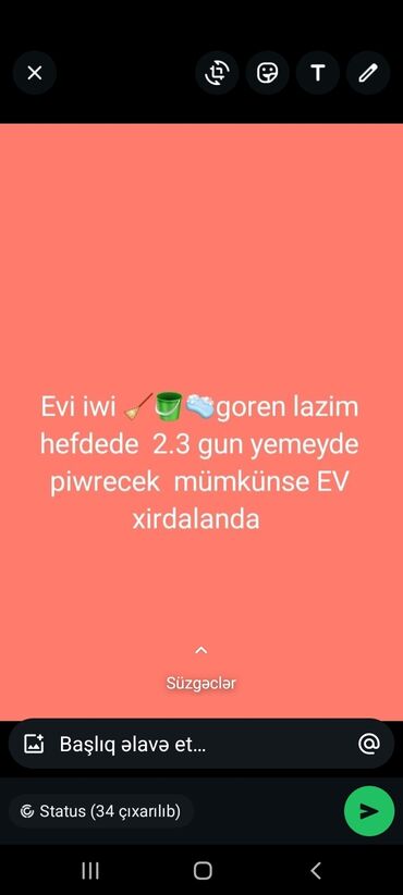 Xadimələr, təmizlikçilər: Xadimələr, təmizlikçilər
