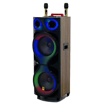 dinamik: №: 11279 Məhsulun adı: Portativ dinamik No Brand SS-210C Brend: No — 1