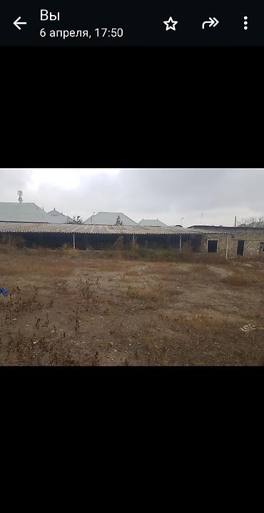 ferma satan: 16 sot, Biznes üçün, Mülkiyyətçi, Kupça (Çıxarış), Bələdiyyə — 7