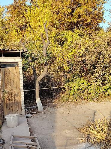 Продажа коттеджей и домов: Продаётся дом с участком 8 соток На участке имеется 2дома, есть газ — 19