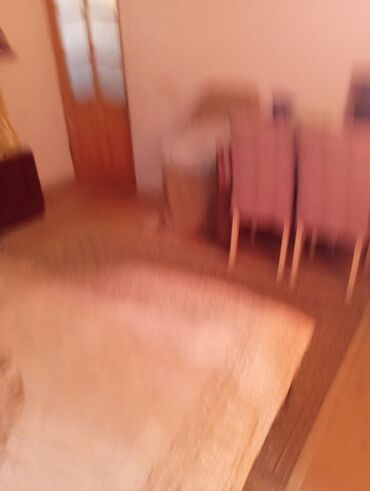 Həyət evləri və villaların satışı: Satılır: həyət evi və torpaq sahəsi - Geniş darvazalı giriş, maşın — 14