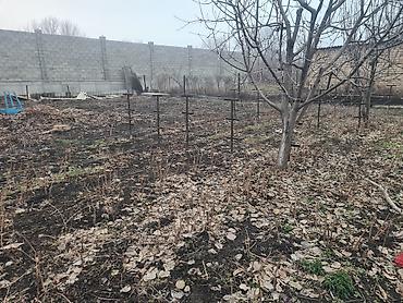 Продажа коттеджей и домов: Продаётся жилой дом с земельным участком и собственным прудом. - — 4