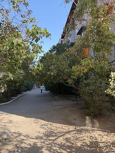Продажа квартир: 3 комнаты, 57 м², Азия Молл Хрущевка, 1 этаж, Евроремонт — 5