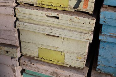 Товары и оборудование для с/х животных: Ульи около 45 комплектов. Рутовская система, корпусные, пригодны для — 22