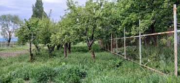 Продажа участков: 12 соток, Для строительства