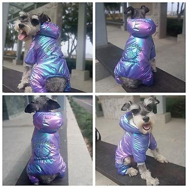 Зоотовары: Продаю игрушку/когтеточку/лежанку 3в1,с кошачей мятой,вашему котику — 19