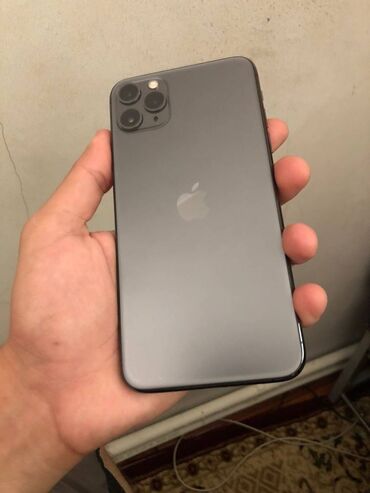 iphone 11 dual: IPhone 11 Pro Max, 256 ГБ, Space Gray, Отпечаток пальца, Face ID