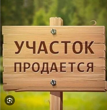 участок на иссыккуль: 3 соток, Для бизнеса, Красная книга