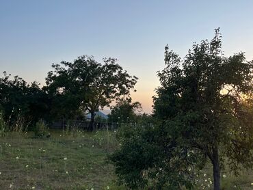 Torpaq sahələrinin satışı: 10 sot, Tikinti, Mülkiyyətçi, Kupça (Çıxarış) — 4