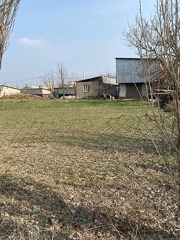 Продажа участков: 5 соток, Для строительства, Красная книга at lalafo.kg — 1 Продажа участков: 5 соток, Для строительства, Красная книга — 1