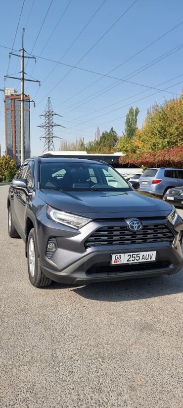рычак на фит: Toyota RAV4: 2020 г., 2.5 л, Автомат, Гибрид, Кроссовер