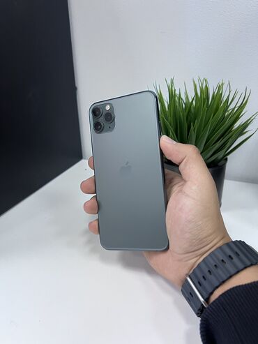 Apple iPhone: IPhone 11 Pro Max, Б/у, 256 ГБ, Зеленый, Чехол