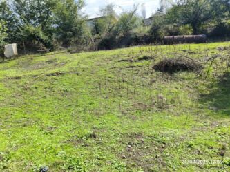 Həyət evləri və villaların satışı: Lerikin Noda kendinde. Heyet evi satilir. asfalta 2 degigelik yol — 11