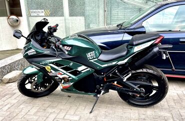 nıssan: Kawasaki - Kawasaki Ninja 300 50 sm3, 2024 il, 117 km