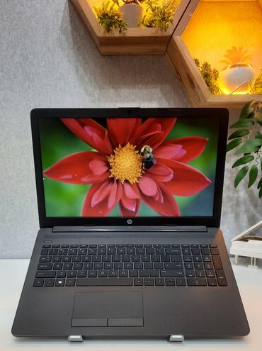 kalonka işlənmiş: İşlənmiş HP Pavilion, 15.6 ", Intel Core i5, 256 GB, Ünvandan götürmə, Rayonlara çatdırılma, Ödənişli çatdırılma