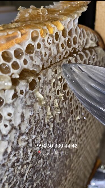 Bal: 100% Tam Təbii kend balı - Arı şanı ilə süzülme bal: kəsimdən — 6